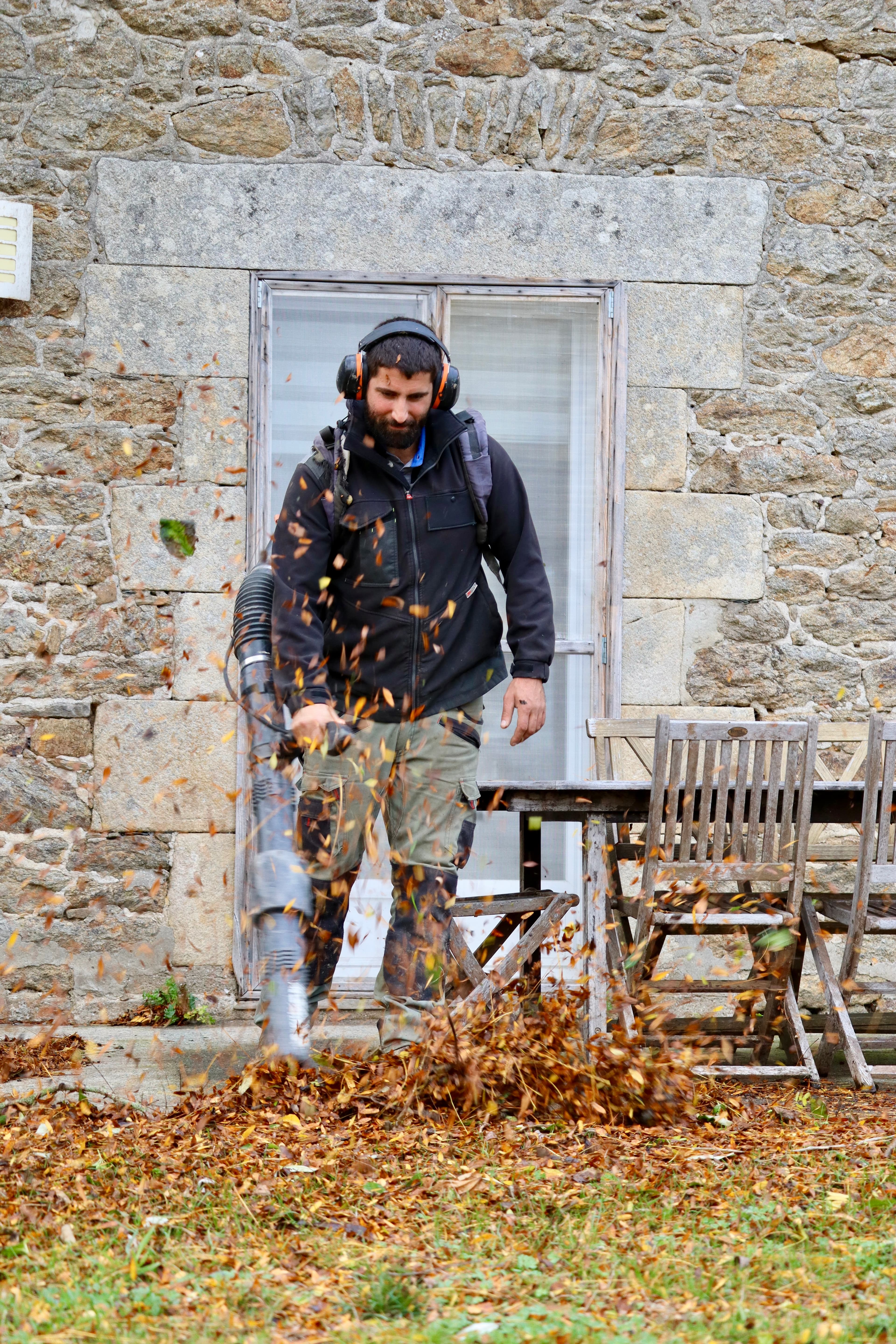 Taille de haie professionnelle en Bretagne