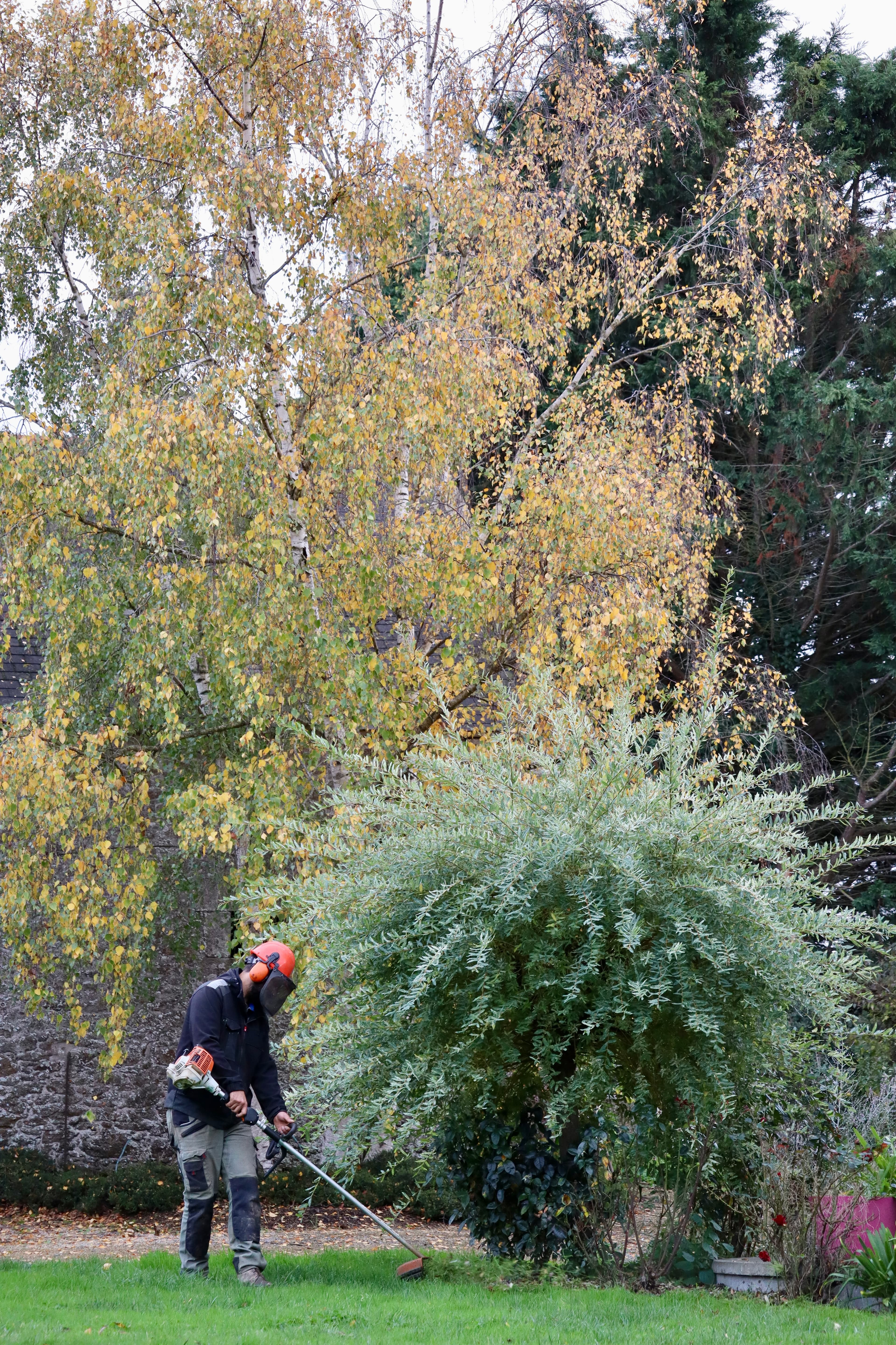 Taille d'arbustes Valverdure Bretagne